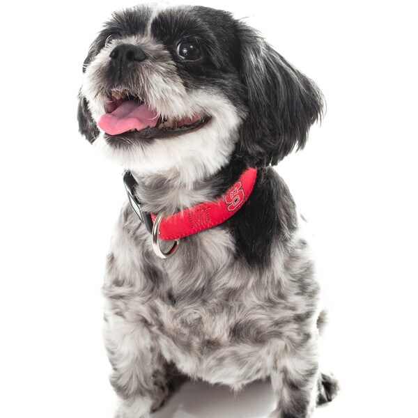 Dog Collars by Moonshine